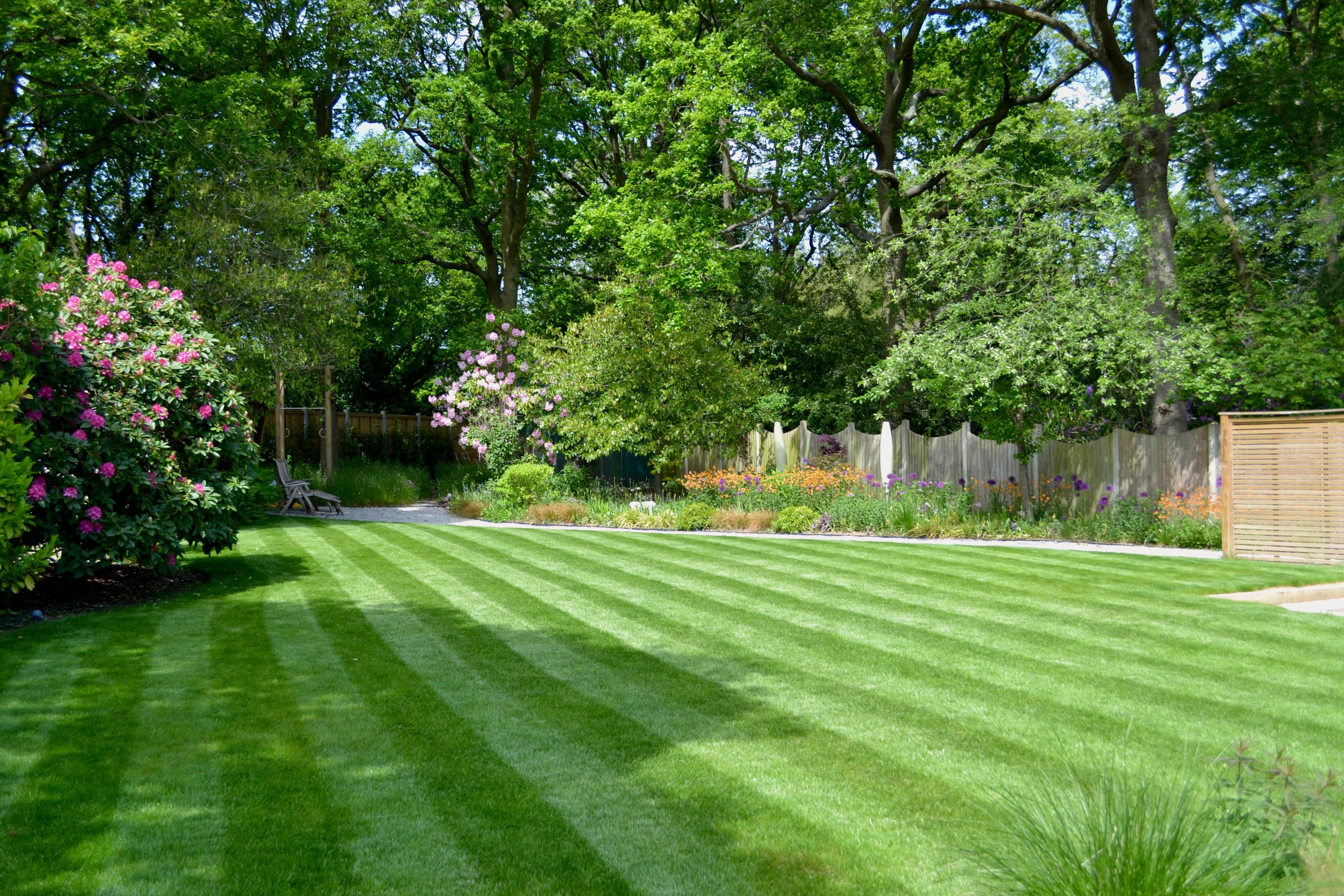 alt=”A striped lawn with a colourful herbaceous border of Geum, Allium, Euphorbia and ornamental grasses”.