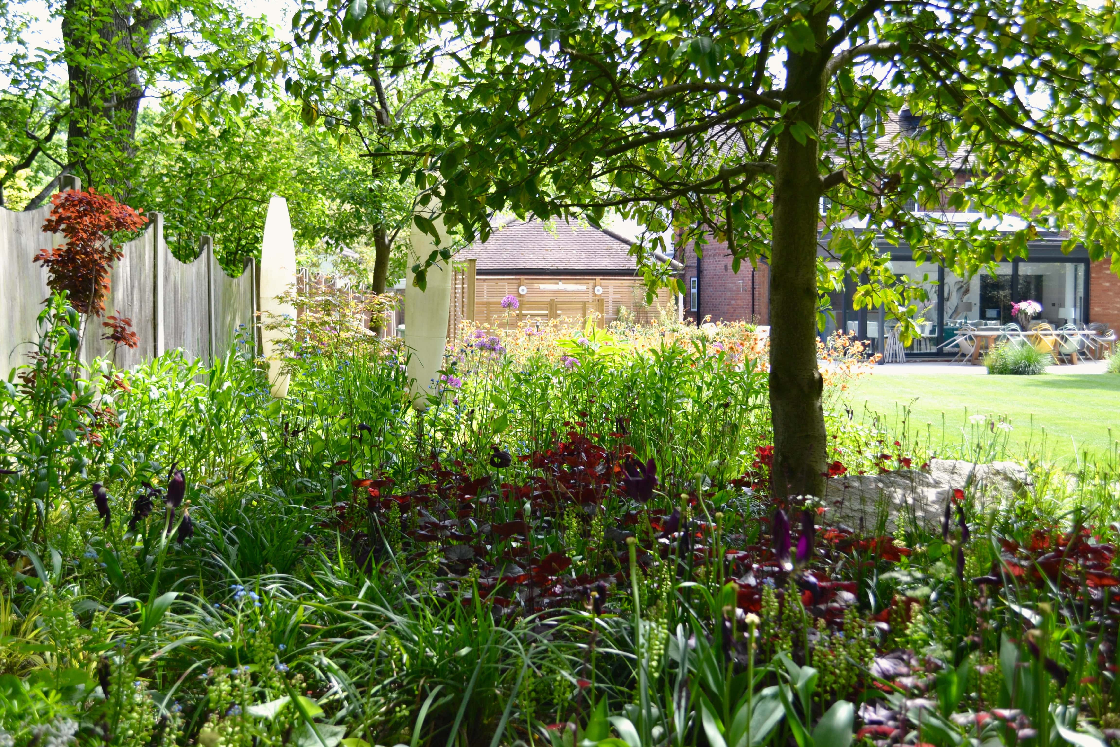 alt=”A tree with a rich matrix of underplanting.”